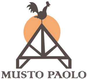 Musto Paolo Le Muy, Rénovation de toiture